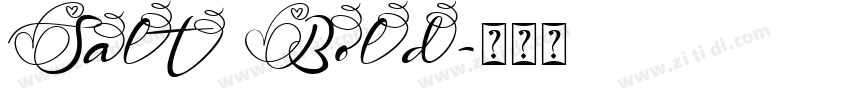 Salt Bold字体转换